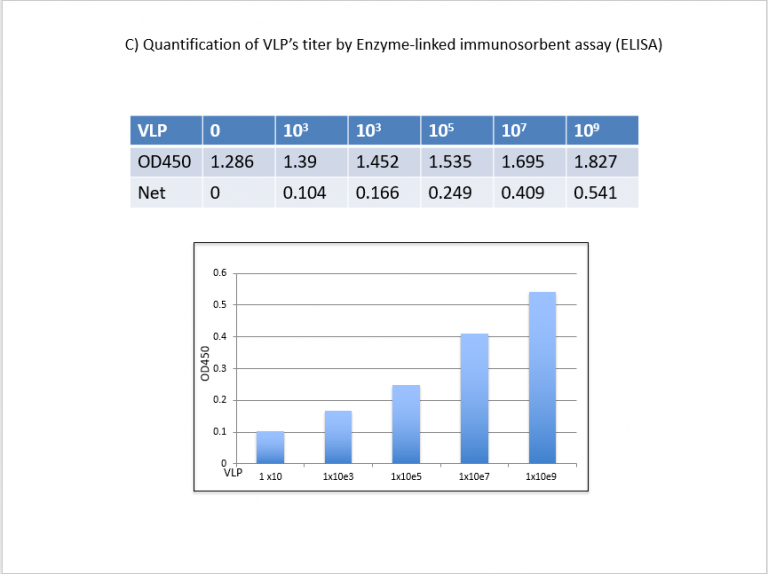 Vlp Formula Enzyme-linked immunosorbent assay (ELISA) to quantify VLP’s titer ...